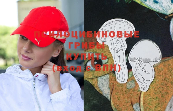 МДПВ Аркадак