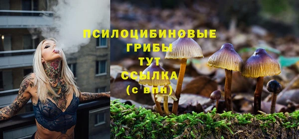 молекула духа Балахна