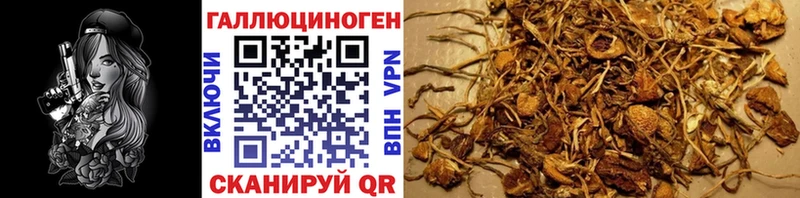 Галлюциногенные грибы MAGIC MUSHROOMS  где купить   Бокситогорск 